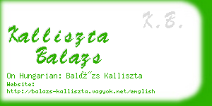 kalliszta balazs business card